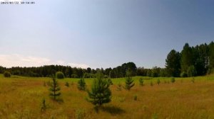 Васюганские болота. Где то в Томской области