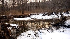 Кавалерово. Скала Дерсу Узала