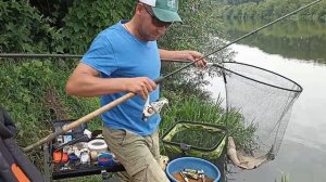 Лещ в жару. Рыбалка на Дону.