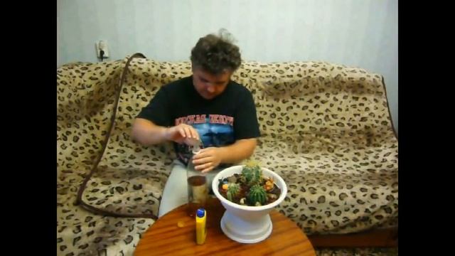 УДОБРЯЮ КАКТУСЫ