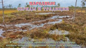 Журавлиное вече на  Куприянов день 13 сентября #православие #народныйпраздник #житиясвятых