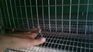Перепелятник своими руками часть 3