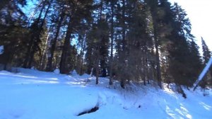 Зимняя рыбалка на таёжной реке Архангельской области. Хариус сковородник.