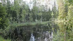 Плавающий остров