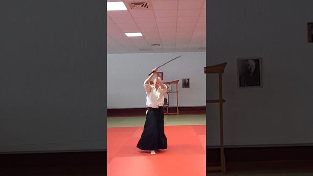 Battojutsu, Kenjutsu, Kata 3 #battojutsu #kenjutsu #iaido #martialarts #artsmartiaux #aikido