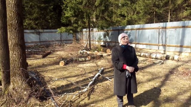 отзыв Раменский район