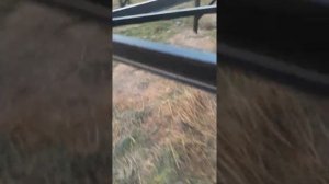 Дубльдом 43 108 винтовые сваи 120 метров двутавр