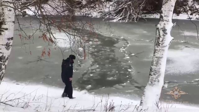 В Мордовии полицейский спас мальчика, который катался на коньках и провалился под лед на озере