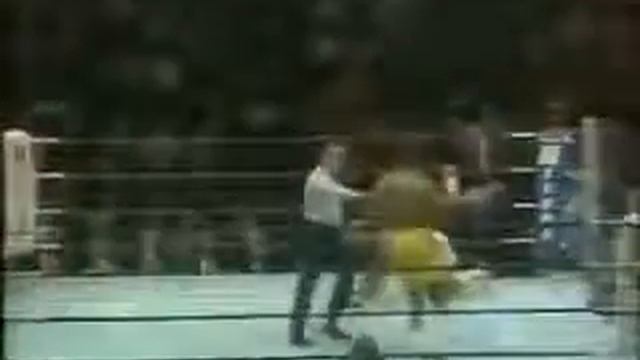 John Mugabi V Gerald McClellan