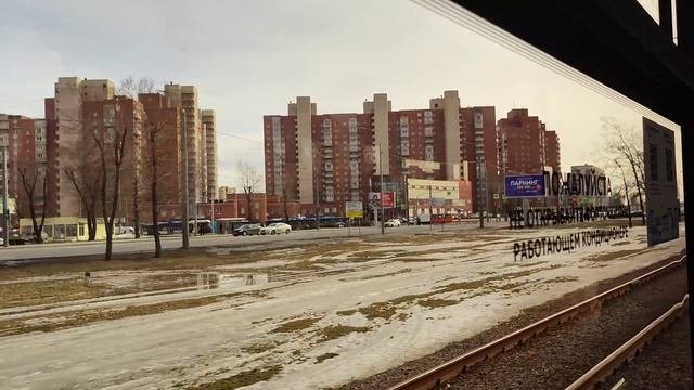 Трамвай 71-923 Богатырь-М на трамвайном маршруте 52 в Сосновой поляне Санкт-Петербурге [2023]