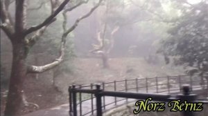 VICTORIA PEAK GARDEN | PART 2 | Hongkong Tourist Spot | Norz Bernz