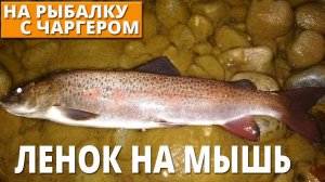 ЛЕНОК НА МЫШЬ ПОЗДНЕЙ ОСЕНЬЮ - КРАСОТА СИБИРСКОЙ РЕКИ