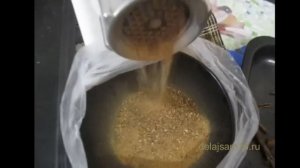 Как заготавливать цикорий (дополнение)