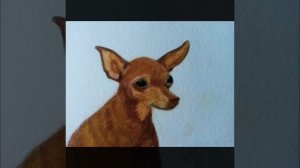 How to draw a dog. Toy Terrier/Как нарисовать собачку.Той Терьер