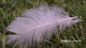 Ностальгия  И.Бутман   саксофон   I. Butman Nostalgia