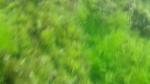 Море под водой