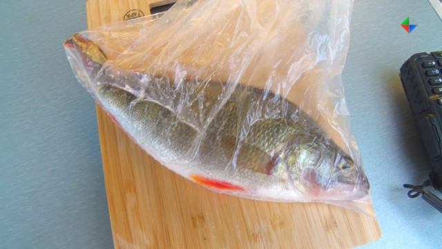 20 команд встретились на соревнованиях по зимней рыбалке смотреть онлайн