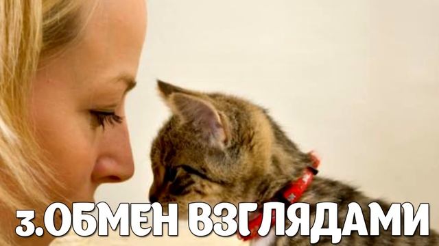 5 ПРИЗНАКОВ,ЧТО КОШКА ВАС ЛЮБИТ