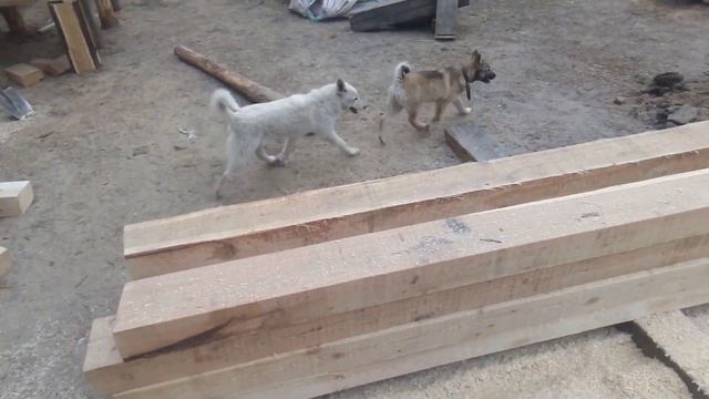 строим дом сами часть 6 смотреть онлайн