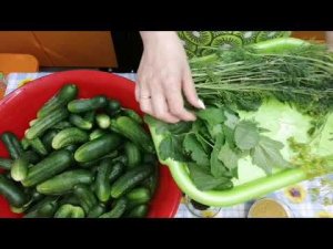 МАРИНУЮ ОГУРЦЫ БЕЗ ЗАМОРОЧЕК ВСЕГДА ХРУСТЯТ И РАЗЛЕТАЮТСЯ НА УРА