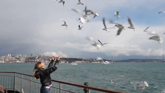 Escape-travel в Стамбул. Чайки смотреть онлайн