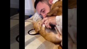 Милые животные дома и на улице. Игры с животными. милейшие создания в руках человека!