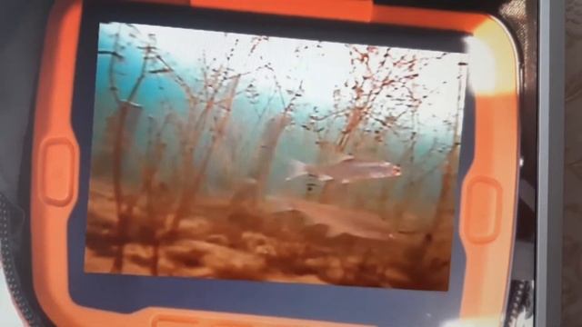 Calypso UVS-03 смотреть онлайн