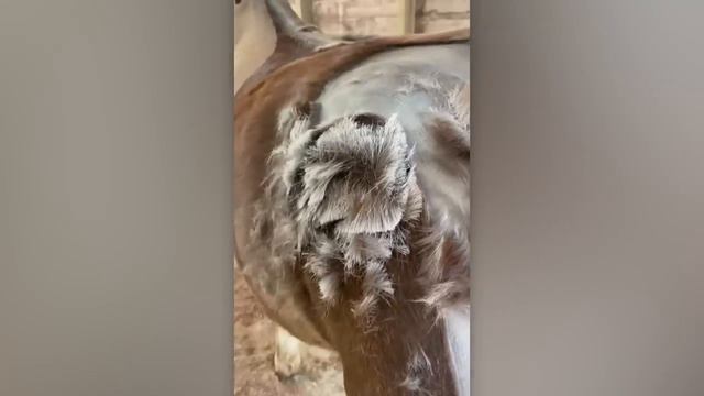 ЗАЛИПАТЕЛЬНЫЕ ВИДЕО РАБОТНИКОВ, КОТОРЫЕ ИДЕАЛЬНО ДЕЛАЮТ СВОЮ РАБОТУ (1)