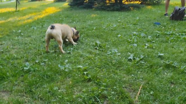 Поиск партнера для вязки смотреть онлайн