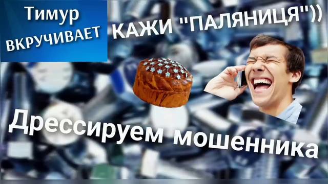 Дрессируем вяселого мошенника