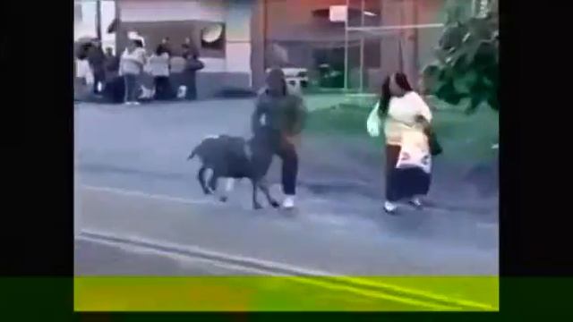 БАРАН ХУЛИГАН БЕСПРИДЕЛЬЩИК смотреть онлайн