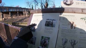 Берлинский зоопарк. Сходите, если вы в Берлине!