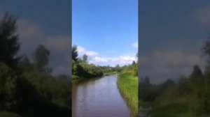 Песня "Шопен"