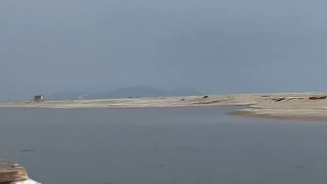 Охота на моржей и китов смотреть онлайн