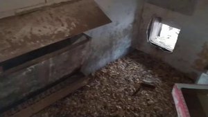 Автономный бюджетный курятник своими руками.