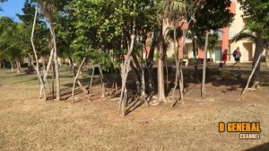 Melia Jardines del Rey Cayo Coco | Cuba Part.1