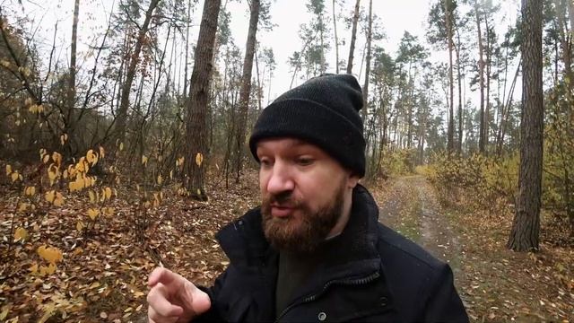 Tik-tok для недвижимости. Есть ли возможность продавать недвижку в Tik-tok?