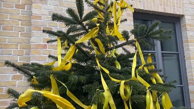 Прогулка с Natalex/1056: про гения нью-йоркского киноавангарда Йонаса Мекаса в #užupis. #vilnius700 смотреть онлайн