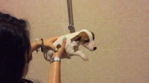 Александр Грин - Подарок  (Премьера, 2019)