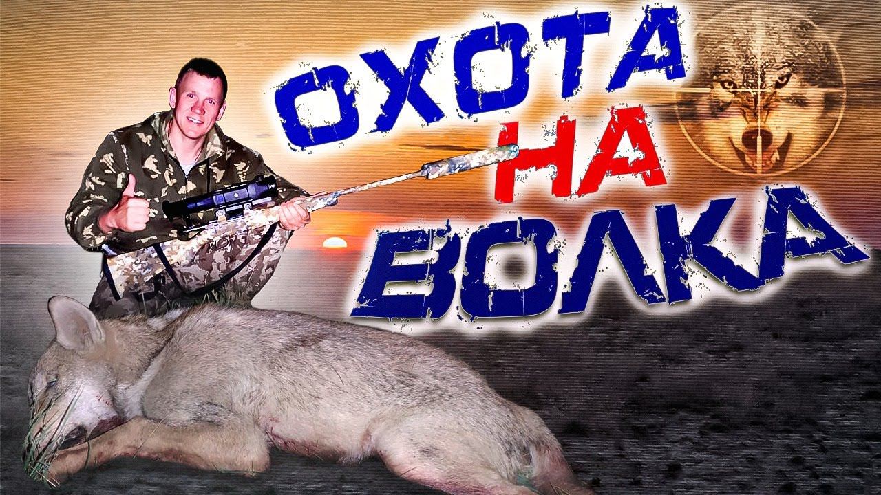 ОХОТА НА ВОЛКОВ осенью на 2021волки обнаглели фермеры плачут .Wolfsjagd смотреть онлайн