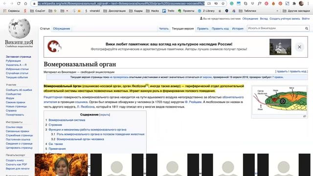 Искусственный нос. Юлия Шалтаева, МИФИ смотреть онлайн