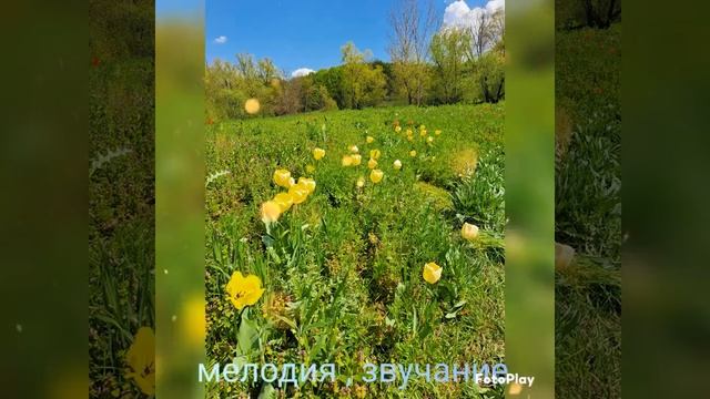 Мелодия, уникальное звучание, узор..
