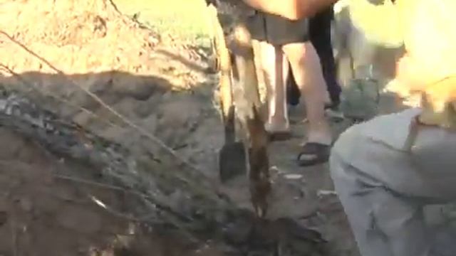 Зепп Хольцер Пермакультура с нуля 2