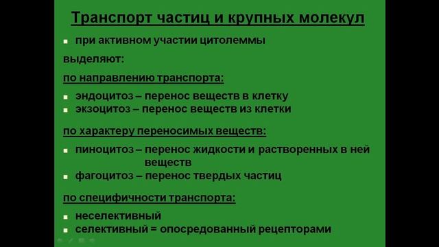 Транспорт через клеточную мембрану. Активный транспорт