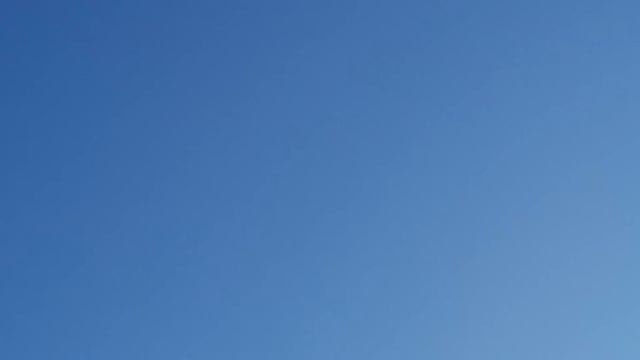 Николаевские голуби Пеева Андрея г. Одесса смотреть онлайн