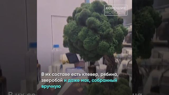 Сотни российских брендов косметики представили на выставке в Подмосковье