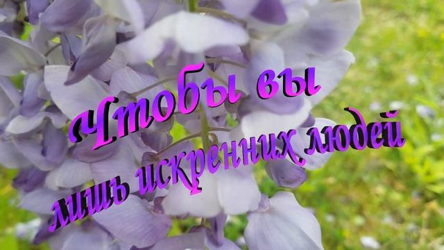 Счастья вашему дому!