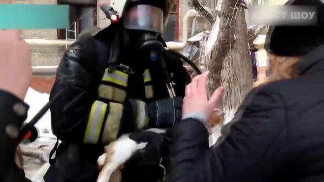 Я спасу тебя, ДРУЖИЩЕ! Люди спасают жизни животных смотреть онлайн