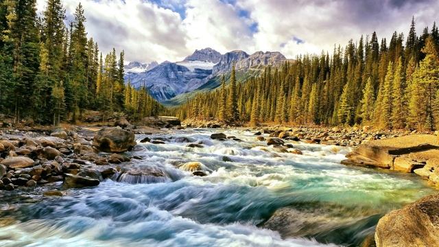 Звук воды (Шум реки и пение птиц в лесу | Журчание воды) | (1 Час)