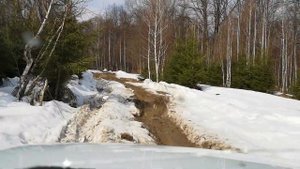 Весенний прорыв через лес на шевроле ниве